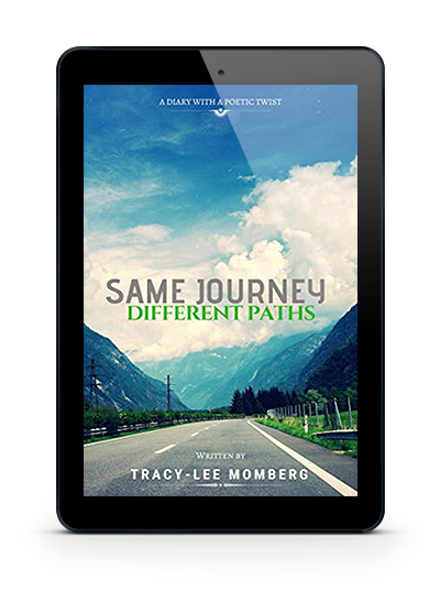 Review Same Journey Different Paths | Voracious Readers Only